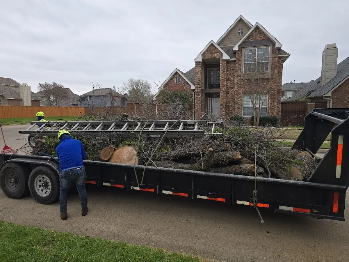 Expert Tree Fertilization with proper safety equipment in Great Meadows